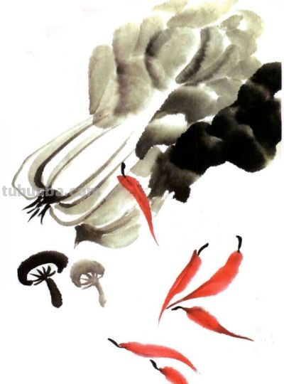 轻松学画写意蔬菜：白菜、辣椒画法 - 图画吧TUHUABA