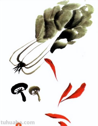 轻松学画写意蔬菜：白菜、辣椒画法 - 图画吧TUHUABA