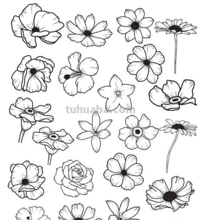 太实用了！100例花卉简笔画线稿 - 图画吧TUHUABA