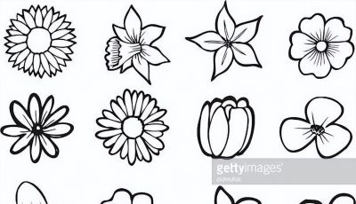 太实用了！100例花卉简笔画线稿 - 图画吧TUHUABA