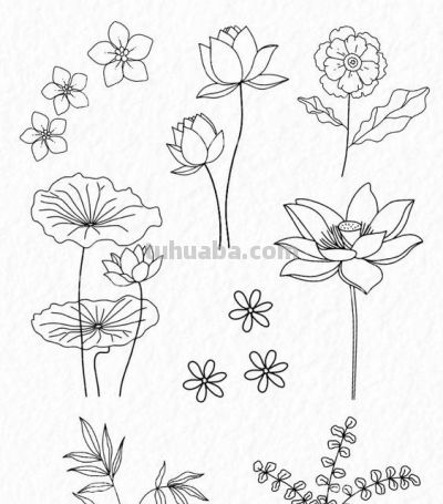 太实用了！100例花卉简笔画线稿 - 图画吧TUHUABA