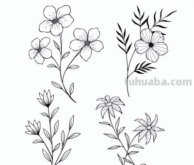 太实用了！100例花卉简笔画线稿 - 图画吧TUHUABA