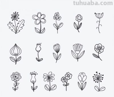 太实用了！100例花卉简笔画线稿 - 图画吧TUHUABA