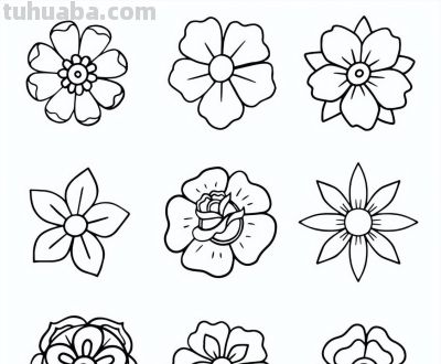太实用了！100例花卉简笔画线稿 - 图画吧TUHUABA