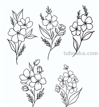 太实用了！100例花卉简笔画线稿 - 图画吧TUHUABA