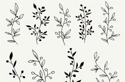 太实用了！100例花卉简笔画线稿 - 图画吧TUHUABA