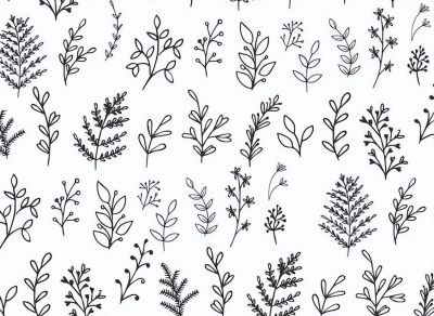 太实用了！100例花卉简笔画线稿 - 图画吧TUHUABA