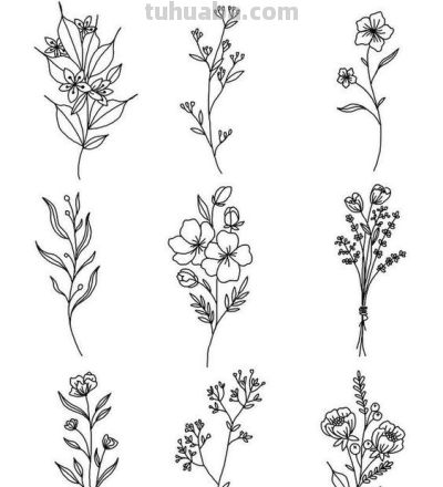 太实用了！100例花卉简笔画线稿 - 图画吧TUHUABA