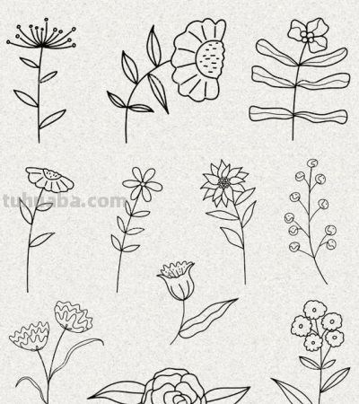 太实用了！100例花卉简笔画线稿 - 图画吧TUHUABA