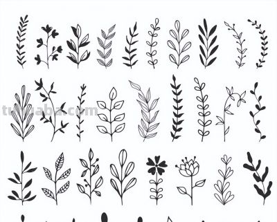 太实用了！100例花卉简笔画线稿 - 图画吧TUHUABA