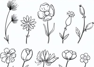 太实用了！100例花卉简笔画线稿 - 图画吧TUHUABA