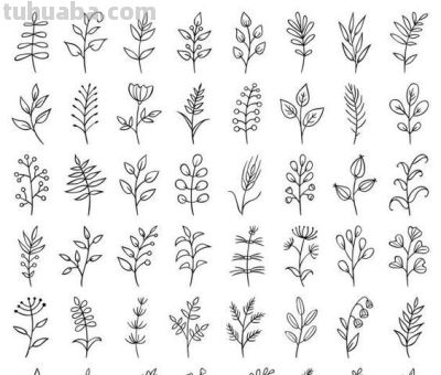太实用了！100例花卉简笔画线稿 - 图画吧TUHUABA