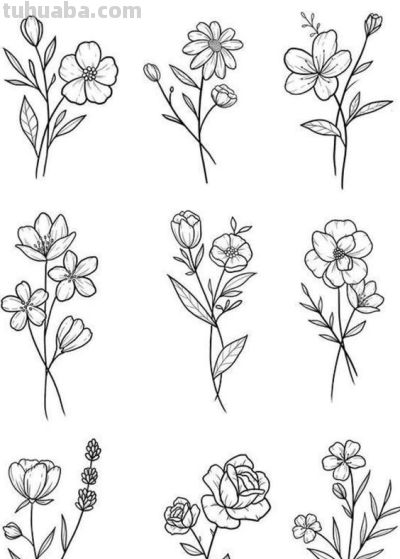太实用了！100例花卉简笔画线稿 - 图画吧TUHUABA
