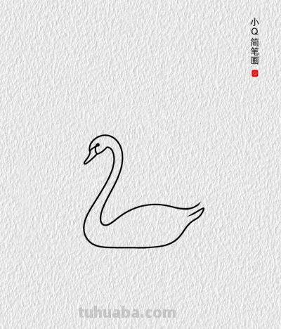 鹅丨小Q简笔画幼儿启蒙绘画分享 - 图画吧TUHUABA