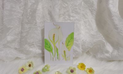 34 水芭蕉（绘画 水彩 果花甘06） - 今日头条