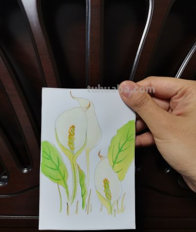 34 水芭蕉（绘画 水彩 果花甘06） - 图画吧TUHUABA