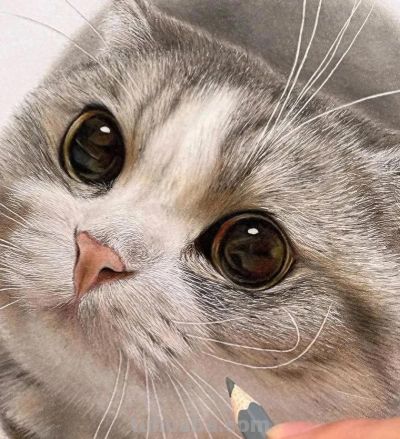 色彩丰富，细腻柔美的彩铅画艺术作品欣赏 - 今日头条