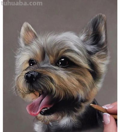 色彩丰富，细腻柔美的彩铅画艺术作品欣赏 - 图画吧TUHUABA