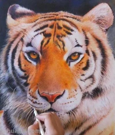 色彩丰富，细腻柔美的彩铅画艺术作品欣赏 - 图画吧TUHUABA