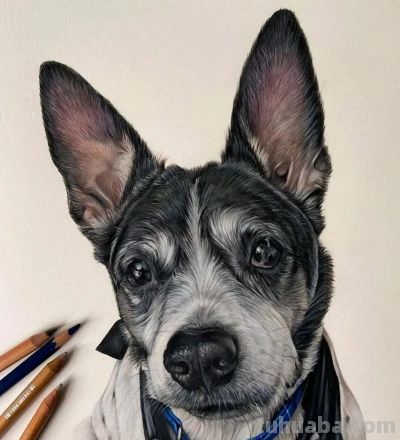 色彩丰富，细腻柔美的彩铅画艺术作品欣赏 - 图画吧TUHUABA