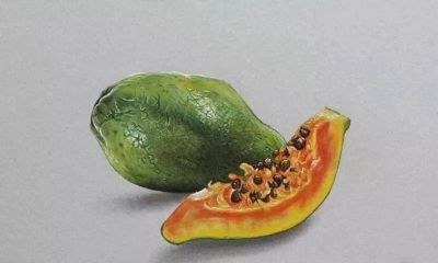 色彩丰富，细腻柔美的彩铅画艺术作品欣赏 - 图画吧TUHUABA