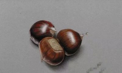 色彩丰富，细腻柔美的彩铅画艺术作品欣赏 - 图画吧TUHUABA