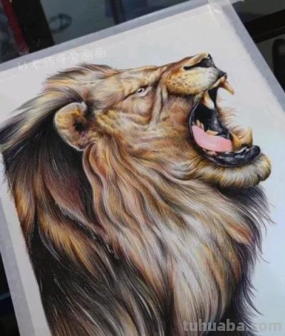 色彩丰富，细腻柔美的彩铅画艺术作品欣赏 - 图画吧TUHUABA