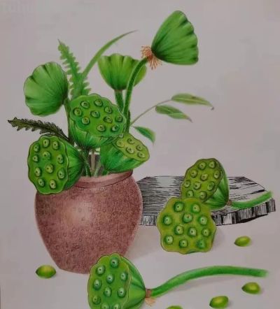 美丽的彩铅画欣赏 - 图画吧TUHUABA