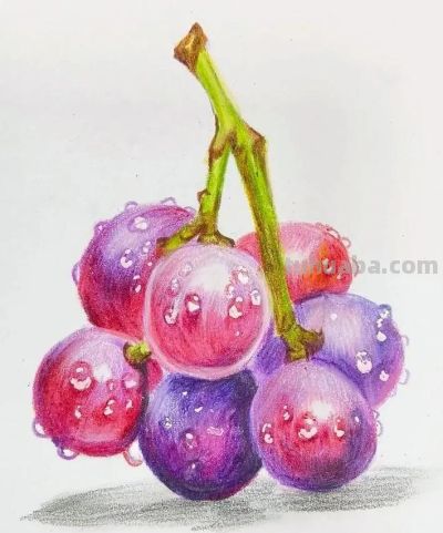 这些彩铅画，怎么这么美 - 图画吧TUHUABA