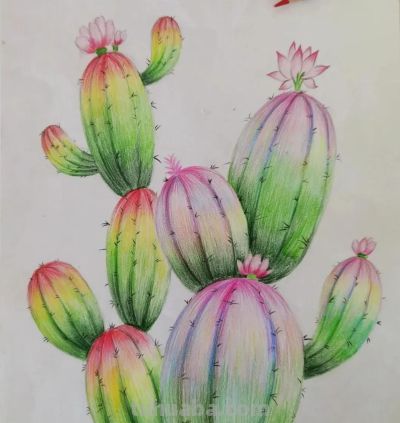 这些彩铅画，怎么这么美 - 图画吧TUHUABA