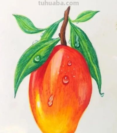 这些彩铅画，怎么这么美 - 图画吧TUHUABA