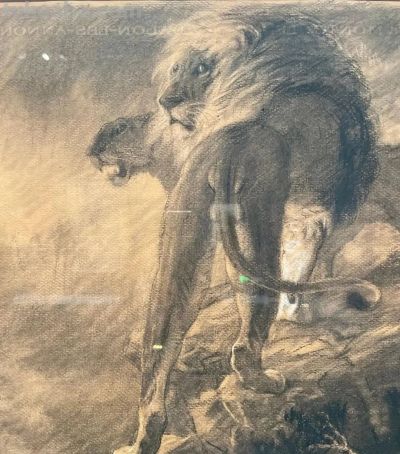 徐悲鸿素描 - 图画吧TUHUABA