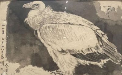 徐悲鸿素描 - 图画吧TUHUABA