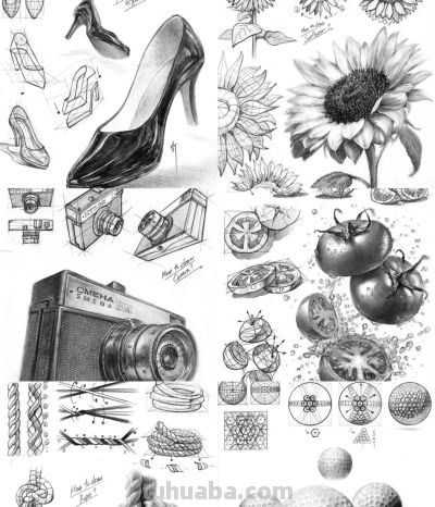 素描是个细致活儿，还真是急不得 - 图画吧TUHUABA