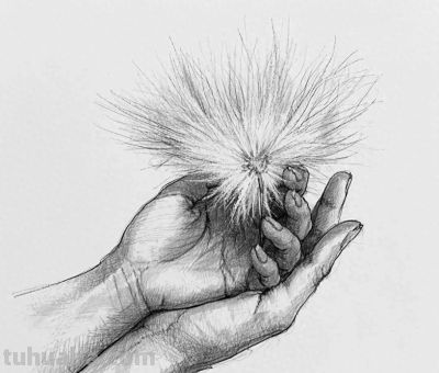 “画说”素描速写中的奇妙世界，将自然姿态呈现得更精彩。 - 今日头条