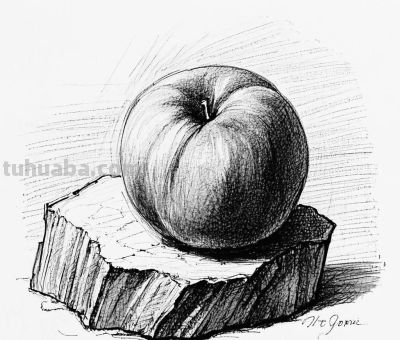 “画说”素描速写中的奇妙世界，将自然姿态呈现得更精彩。 - 图画吧TUHUABA