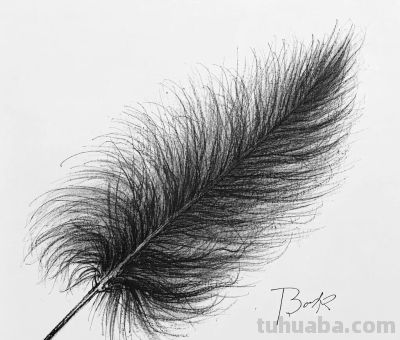 “画说”素描速写中的奇妙世界，将自然姿态呈现得更精彩。 - 图画吧TUHUABA