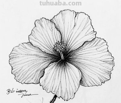 “画说”素描速写中的奇妙世界，将自然姿态呈现得更精彩。 - 图画吧TUHUABA