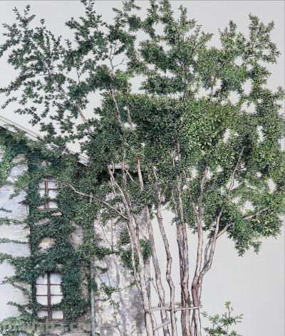 中国式的钢笔水彩风景，古镇里的细节 - 图画吧TUHUABA