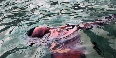 他闭门深造9年水彩，光影十足，质感一绝，水中女人美到冒泡！ - 图画吧TUHUABA