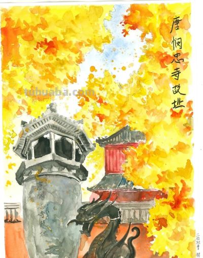 共同欣赏西城区第六届自然笔记获奖作品（创意绘画类） - 图画吧TUHUABA