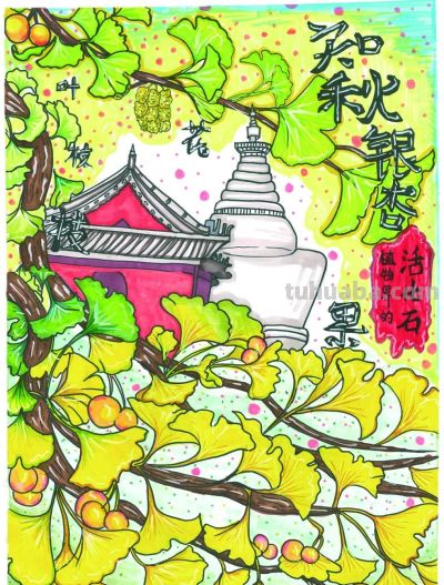 共同欣赏西城区第六届自然笔记获奖作品（创意绘画类） - 图画吧TUHUABA