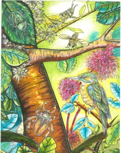 共同欣赏西城区第六届自然笔记获奖作品（创意绘画类） - 图画吧TUHUABA