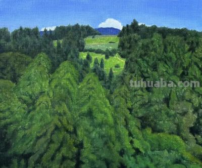 姜向东风景油画作品集 - 图画吧TUHUABA