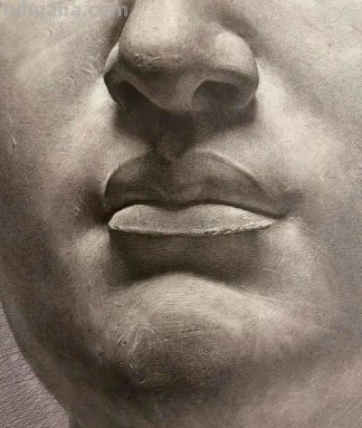 鲁迅美院学生75小时长期素描作业，全开纸大卫石膏像素描作品 优秀 - 图画吧TUHUABA