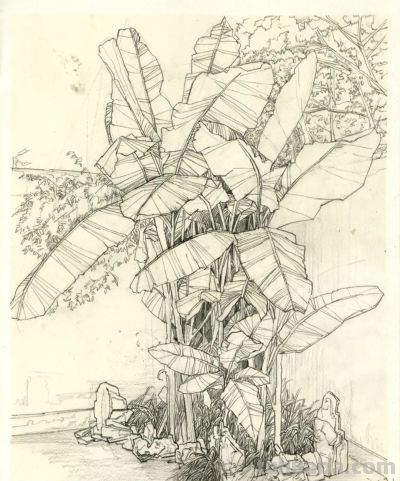 这届学生太牛了！【下乡速写作品欣赏】 - 图画吧TUHUABA