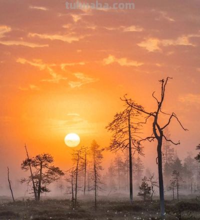 9个拍照技巧，生活中普通场景，也能拍得很好看，新手一看就会 - 图画吧TUHUABA