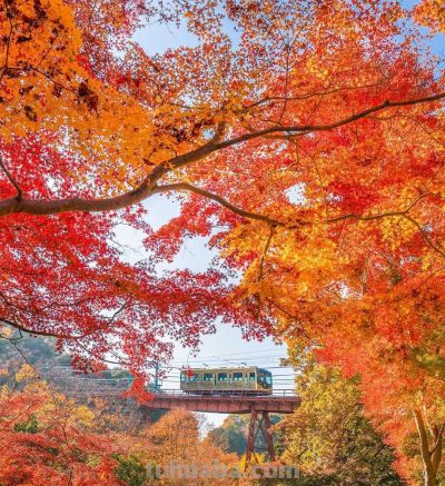 9个拍照技巧，生活中普通场景，也能拍得很好看，新手一看就会 - 图画吧TUHUABA