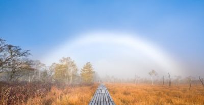 9个拍照技巧，生活中普通场景，也能拍得很好看，新手一看就会 - 图画吧TUHUABA