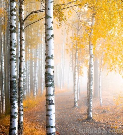 9个拍照技巧，生活中普通场景，也能拍得很好看，新手一看就会 - 图画吧TUHUABA